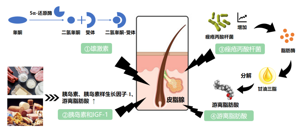 祛痘產品,祛痘功效測定,化妝品,監督