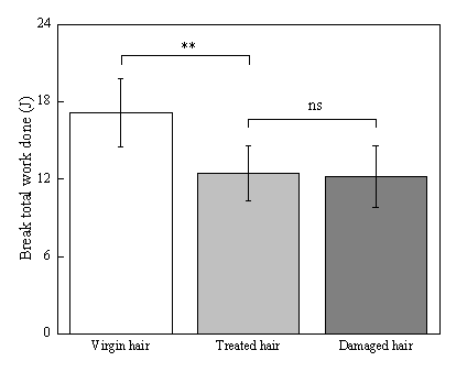 體外真發,頭發熱損傷,模型研究,CIRS,功效評價,技術實踐