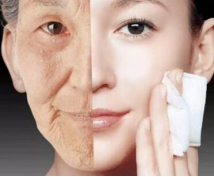 皮膚衰老,中藥,新陳代謝,調節內分泌,皮膚皺紋,抗氧化