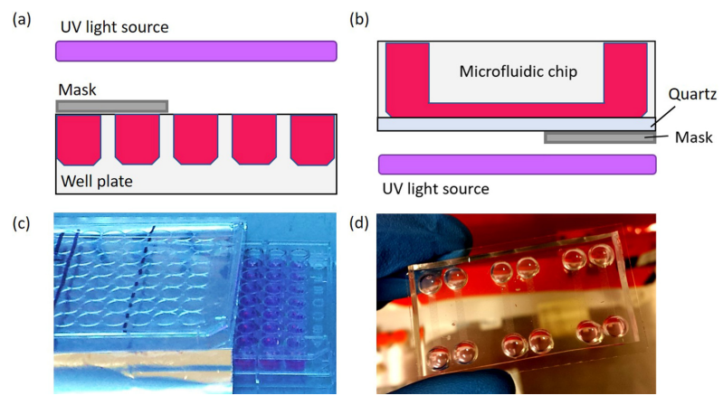 新型皮膚,芯片,化妝品安全,功效評價