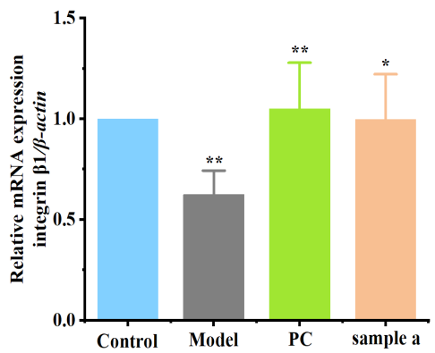 體外細胞培養,模型,化妝品抗衰,功效評價