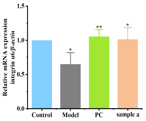體外細胞培養,模型,化妝品抗衰,功效評價