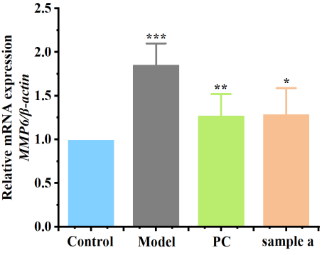 體外細胞培養,模型,化妝品抗衰,功效評價