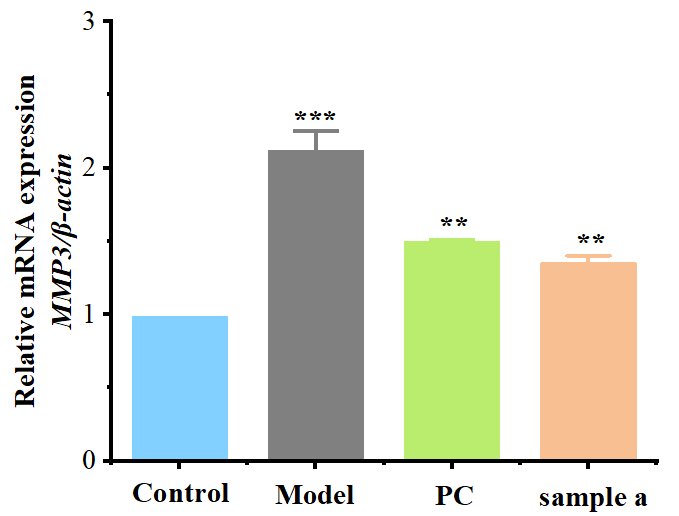 體外細胞培養,模型,化妝品抗衰,功效評價