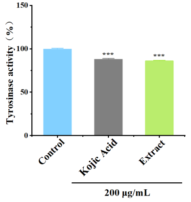 體外細胞,培養,模型,祛斑,美白,功效評估