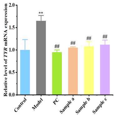 體外細胞,培養,模型,祛斑,美白,功效評估